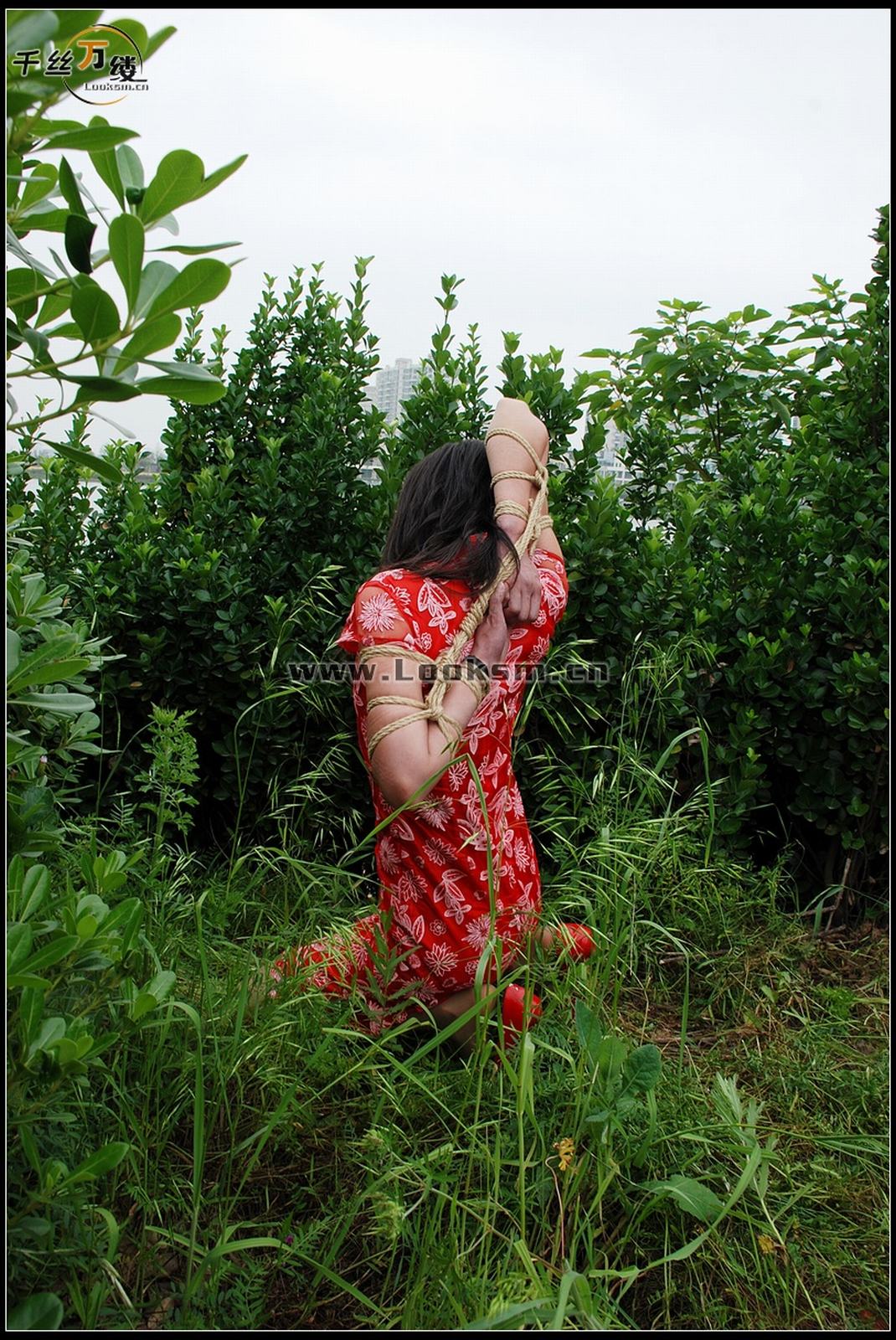 Chinese Rope Model 271