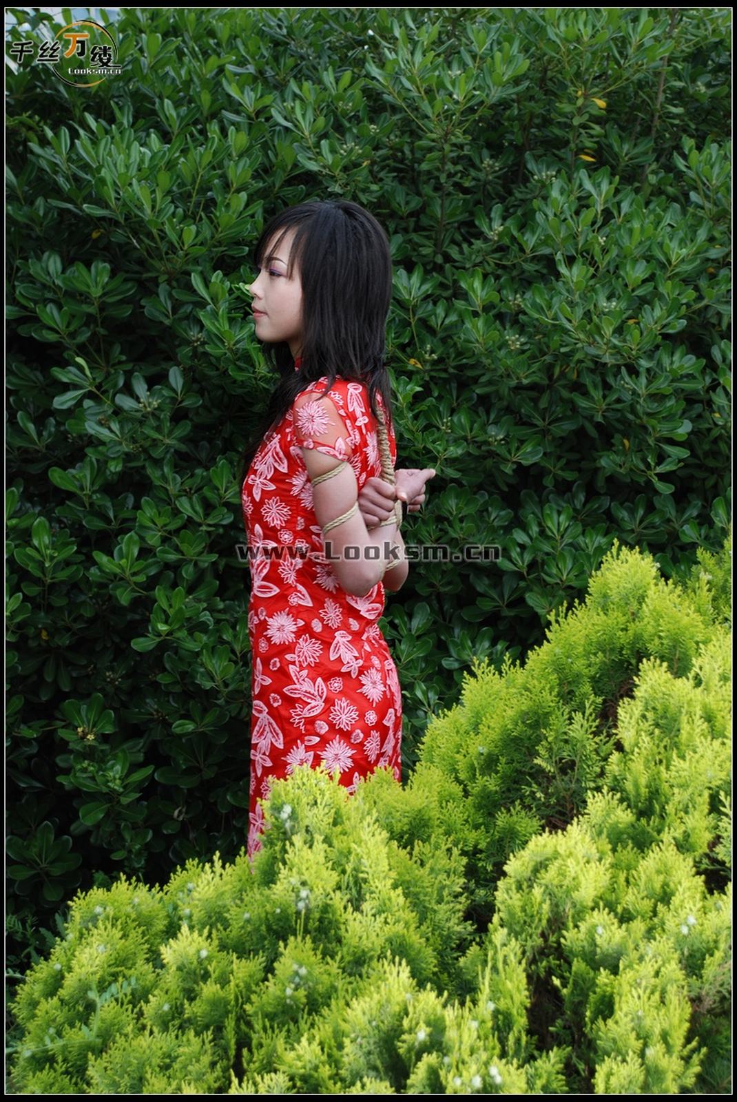 Chinese Rope Model 271