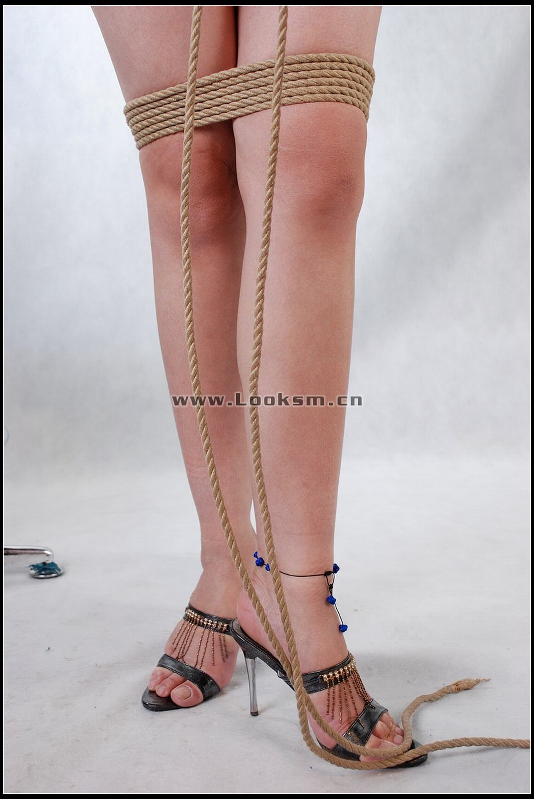 Chinese Rope Model 290