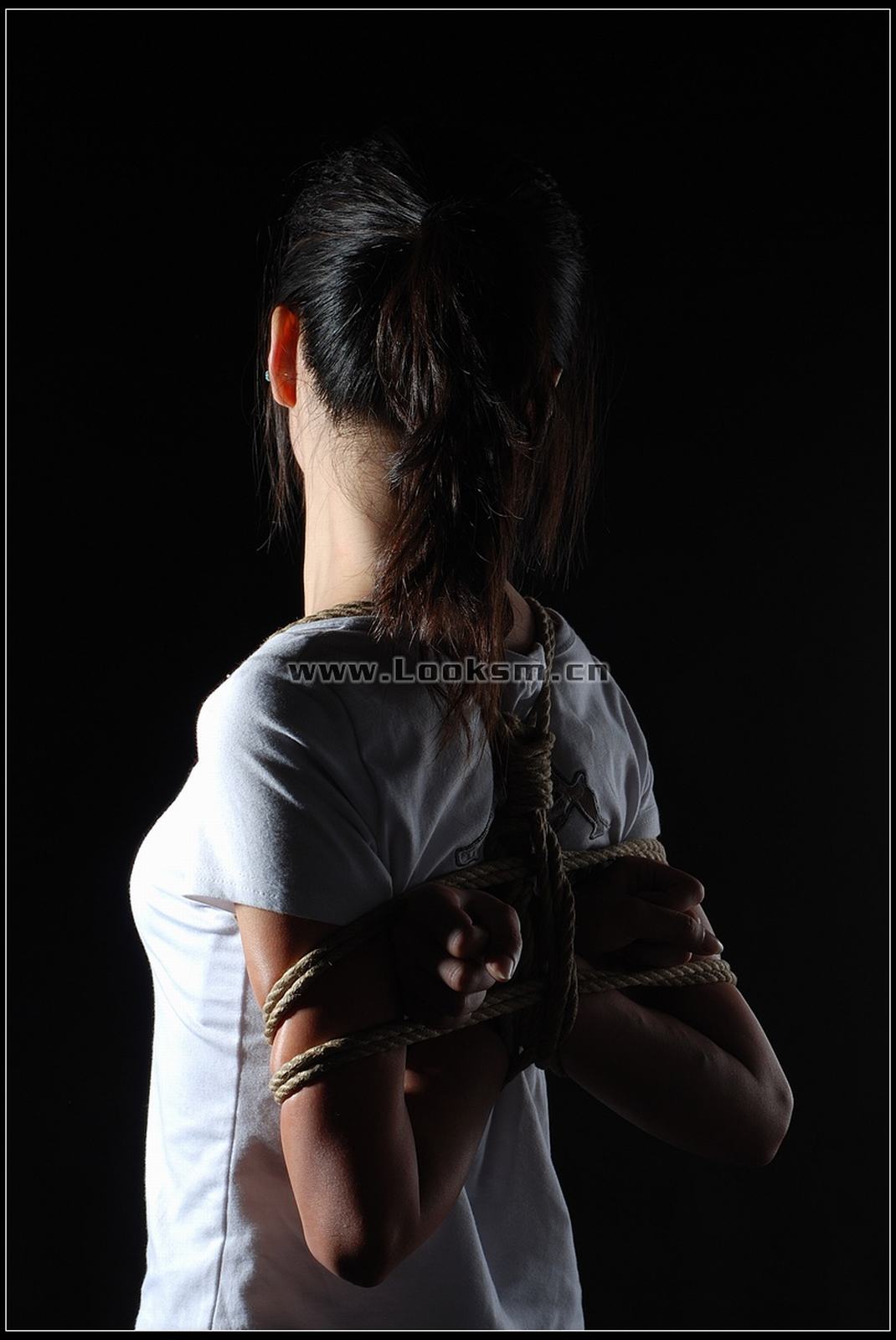 Chinese Rope Model 295