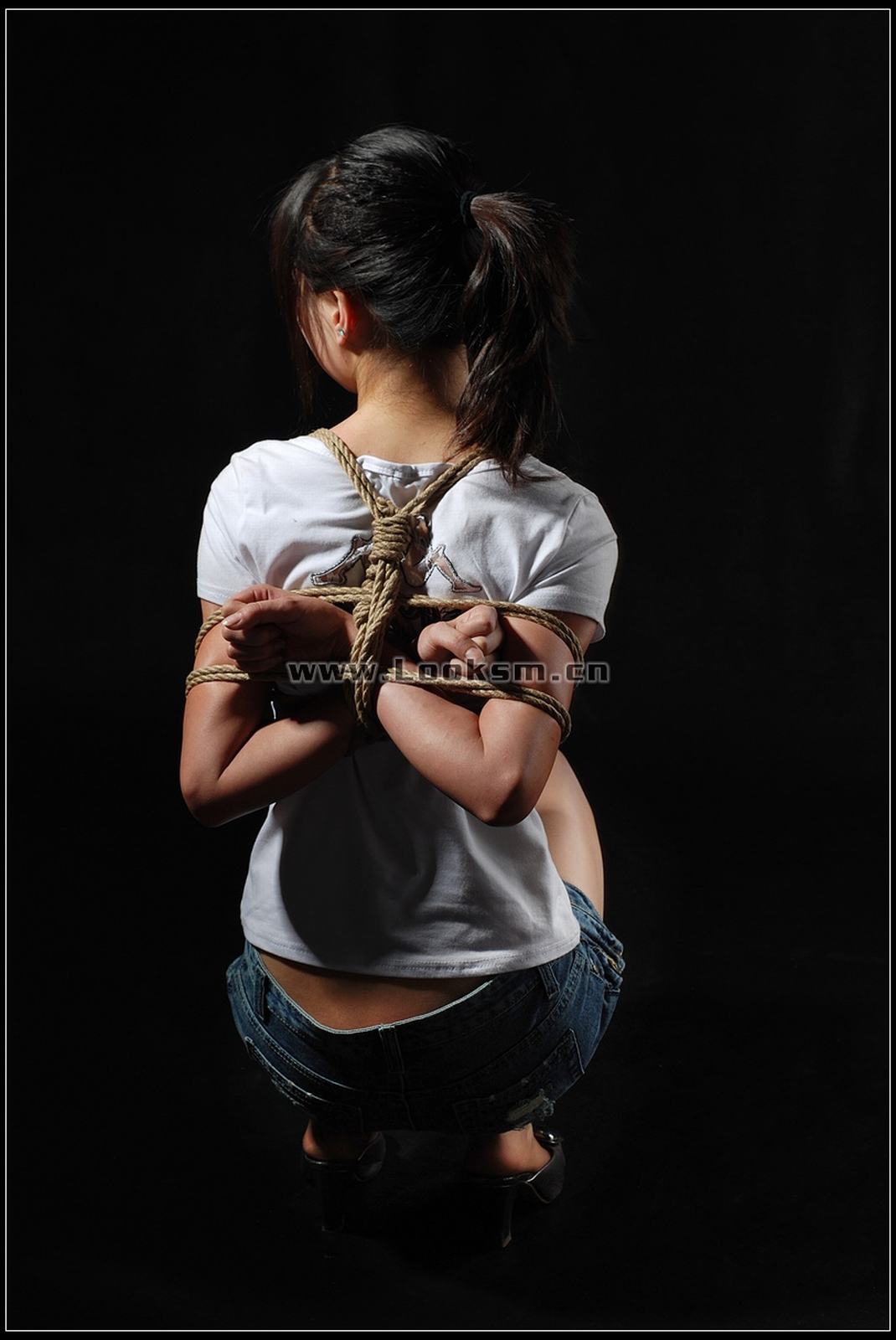 Chinese Rope Model 295