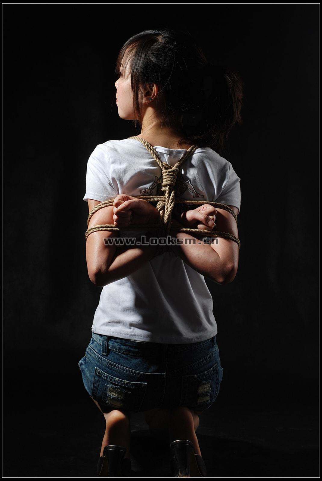 Chinese Rope Model 295