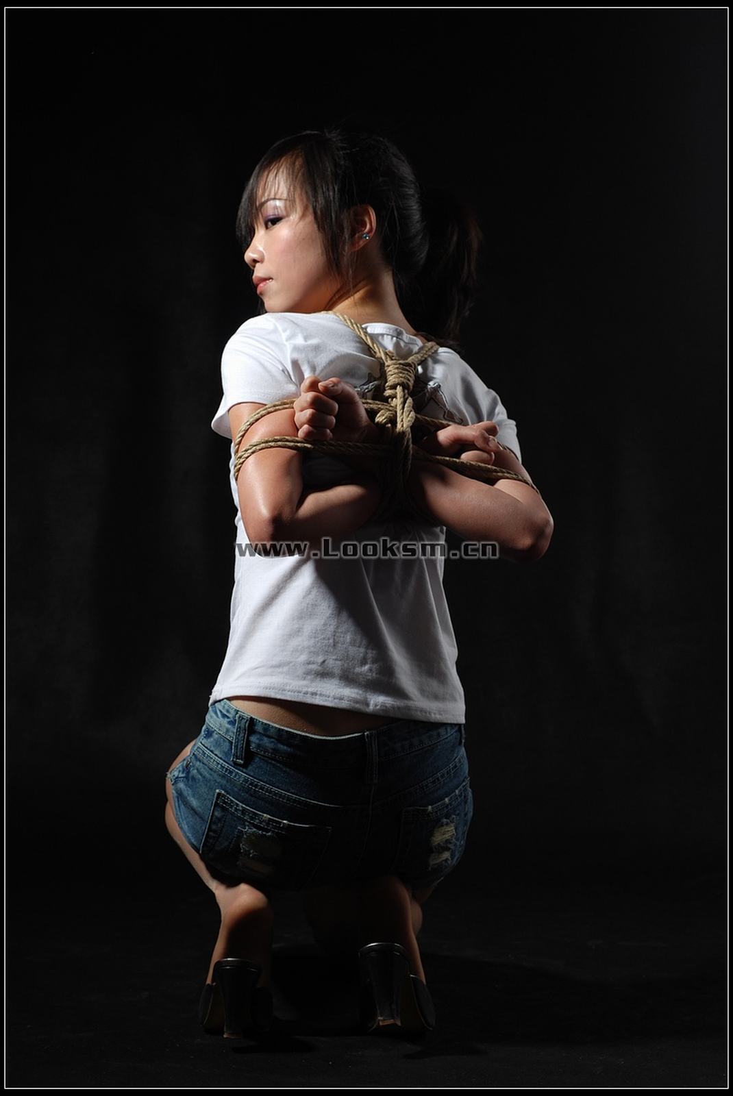 Chinese Rope Model 295