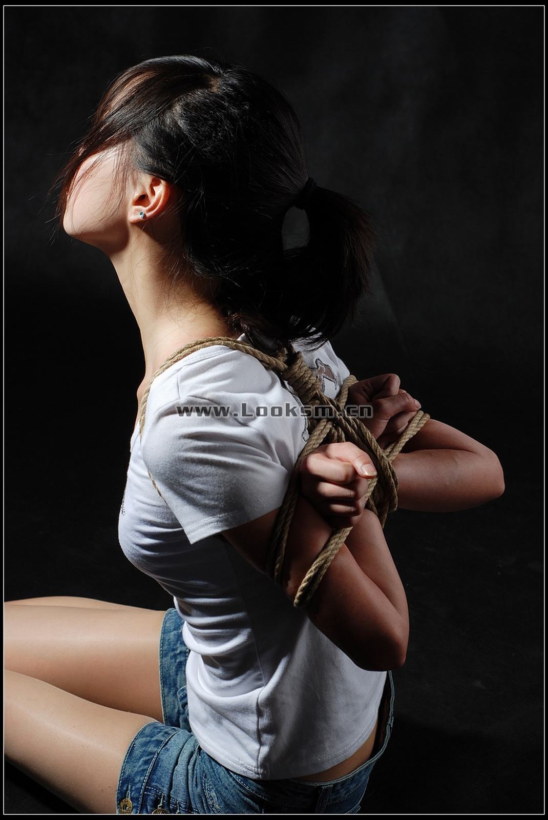 Chinese Rope Model 295