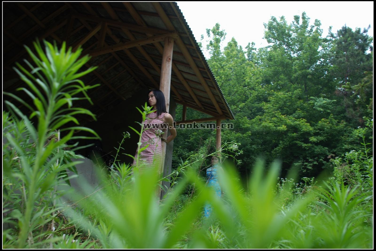 Chinese Rope Model 296