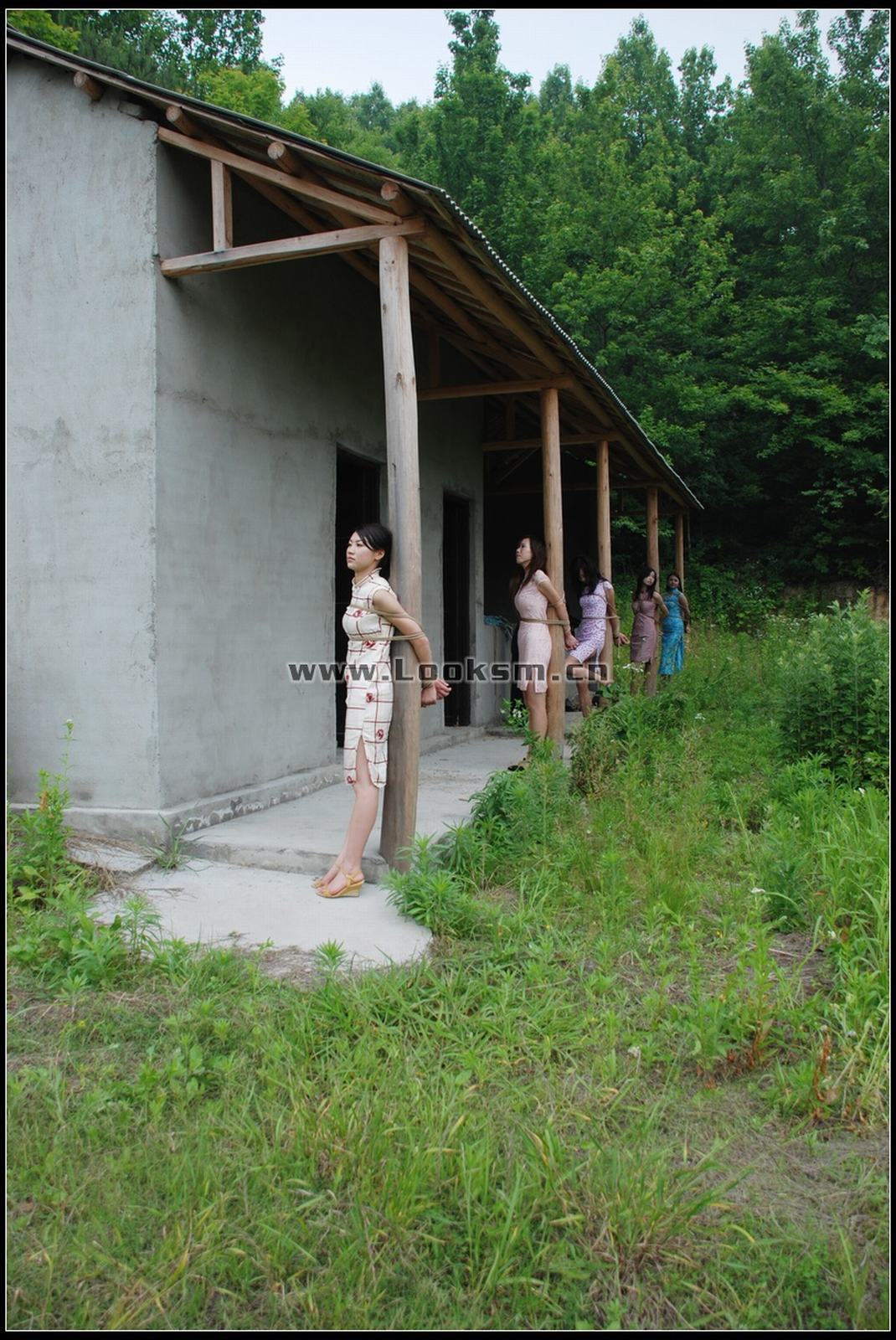 Chinese Rope Model 296