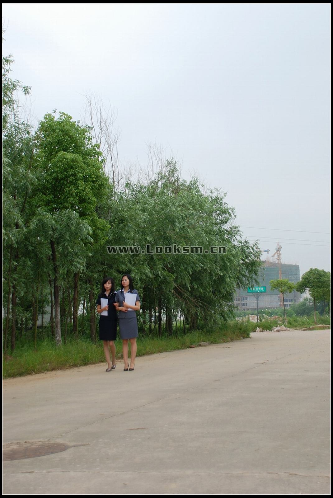 Chinese Rope Model 299