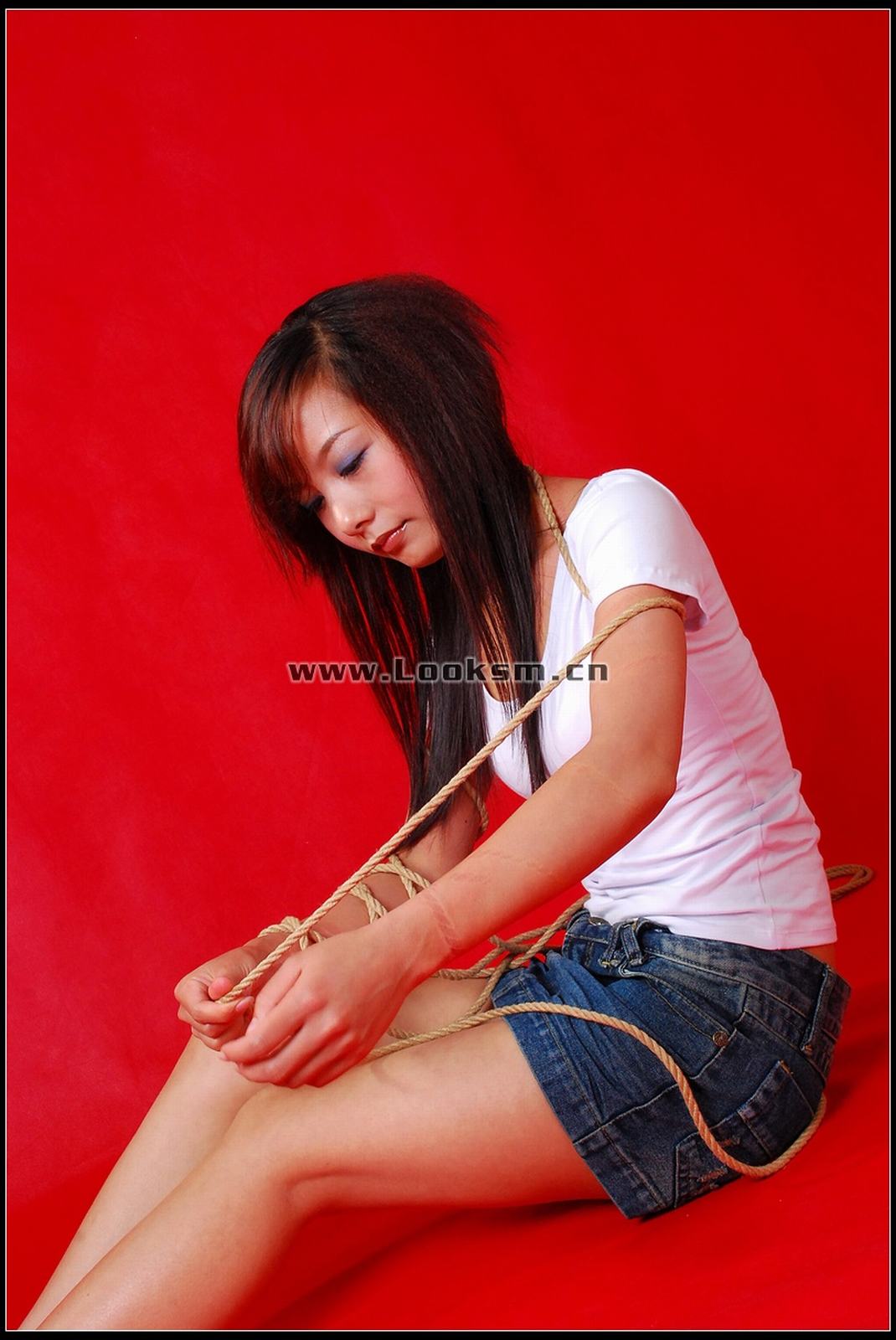 Chinese Rope Model 301