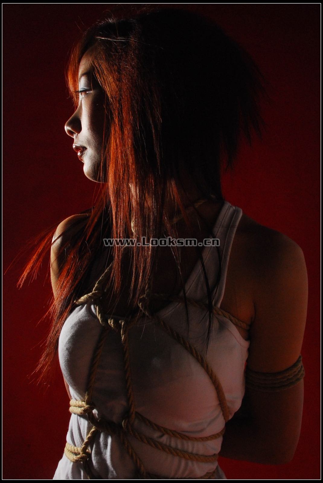 Chinese Rope Model 302