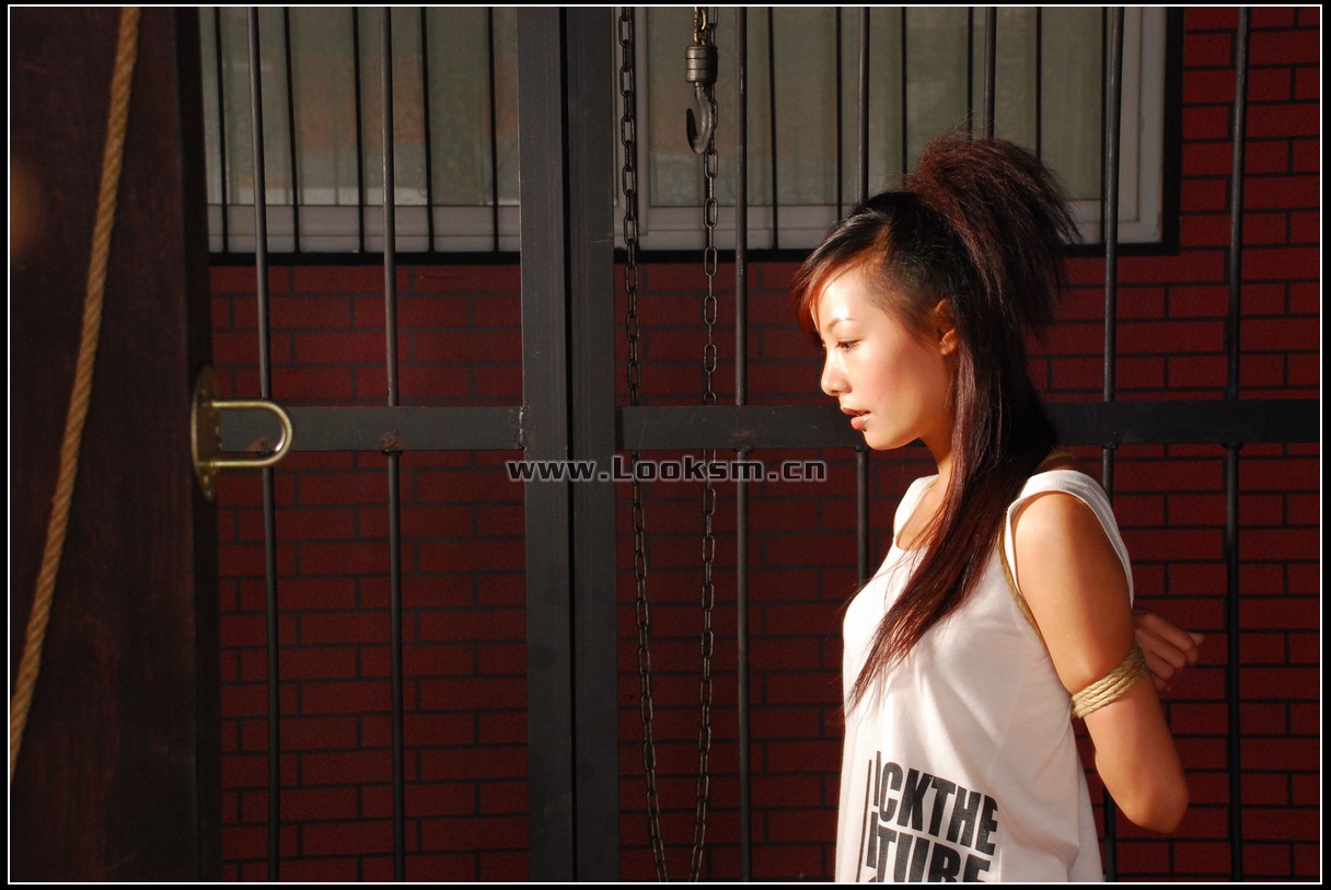 Chinese Rope Model 313