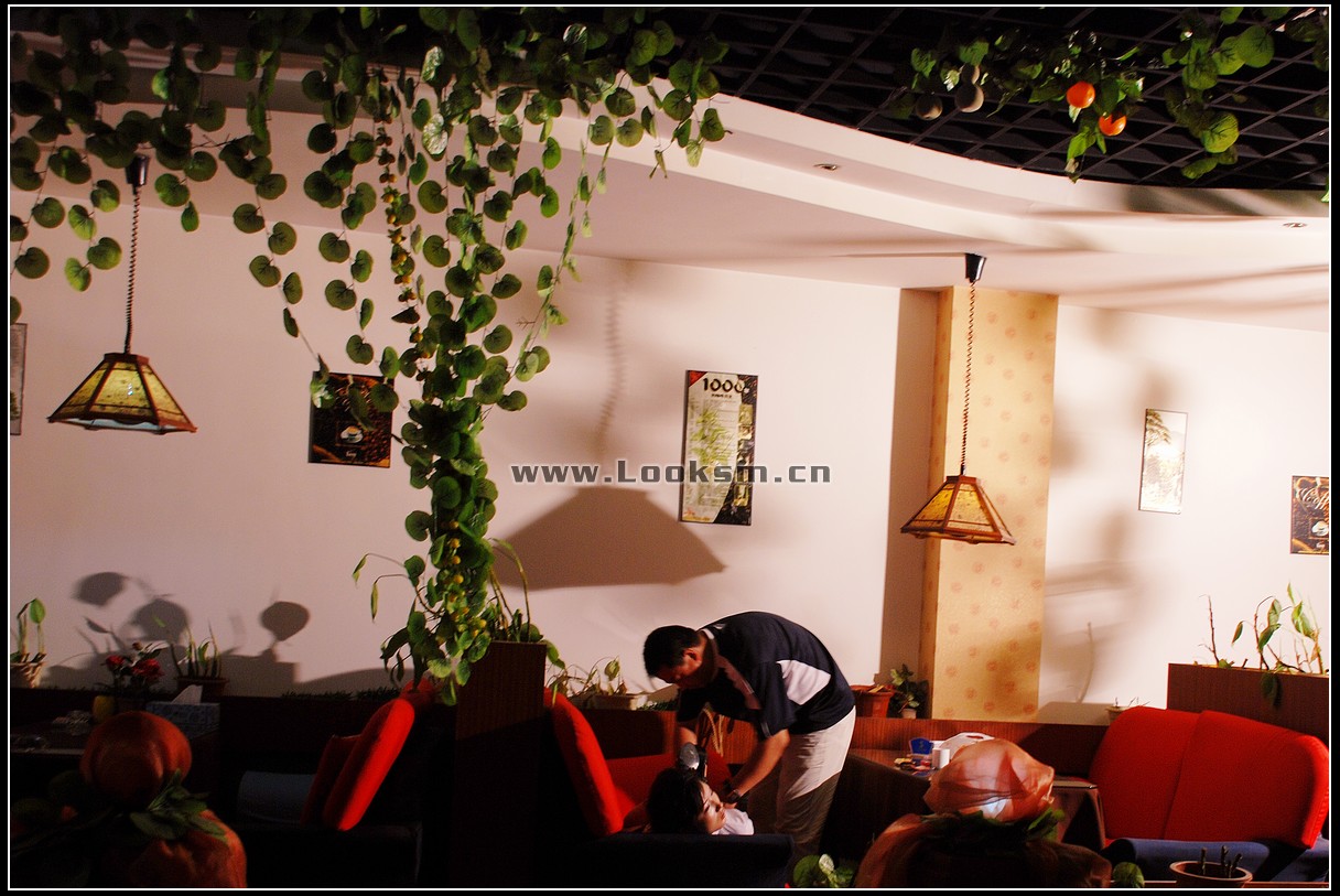 Chinese Rope Model 325