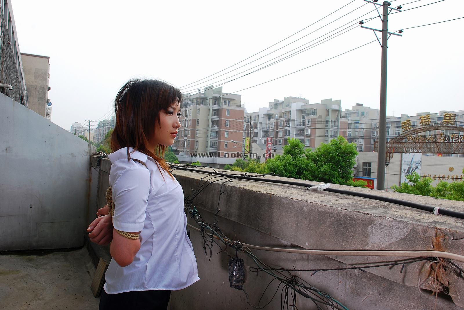 Chinese Rope Model 334