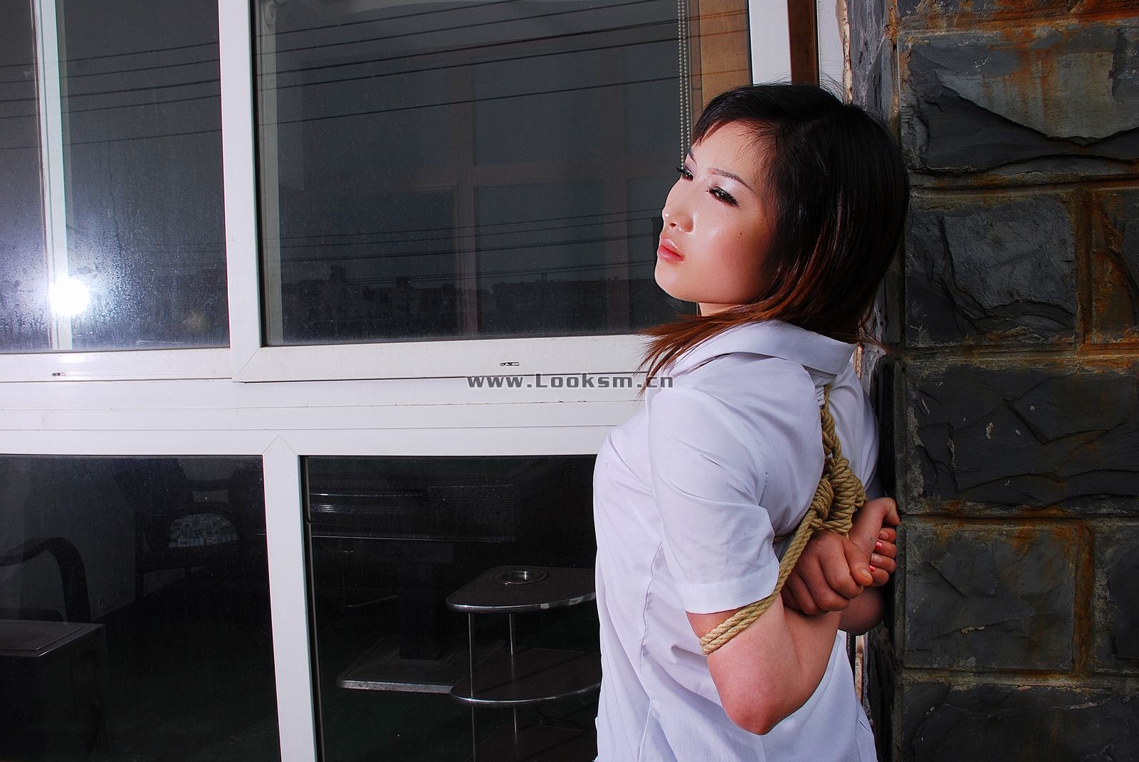 Chinese Rope Model 334