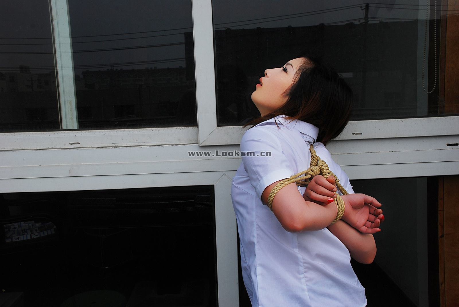 Chinese Rope Model 334