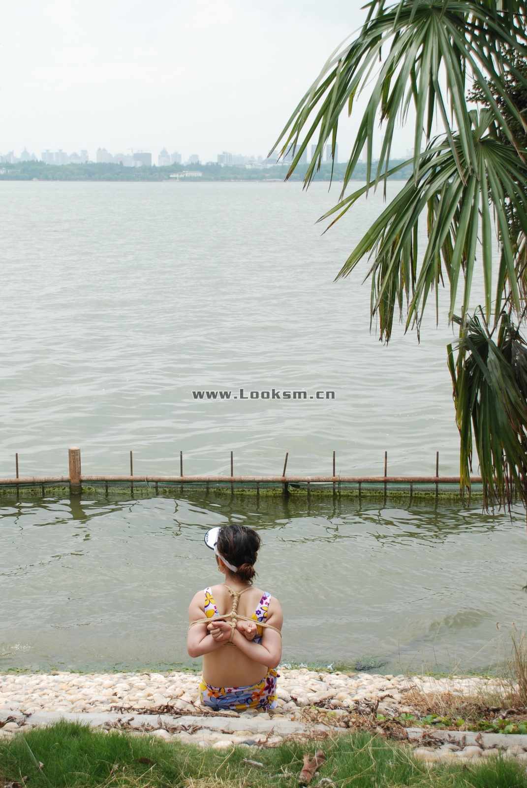 Chinese Rope Model 338