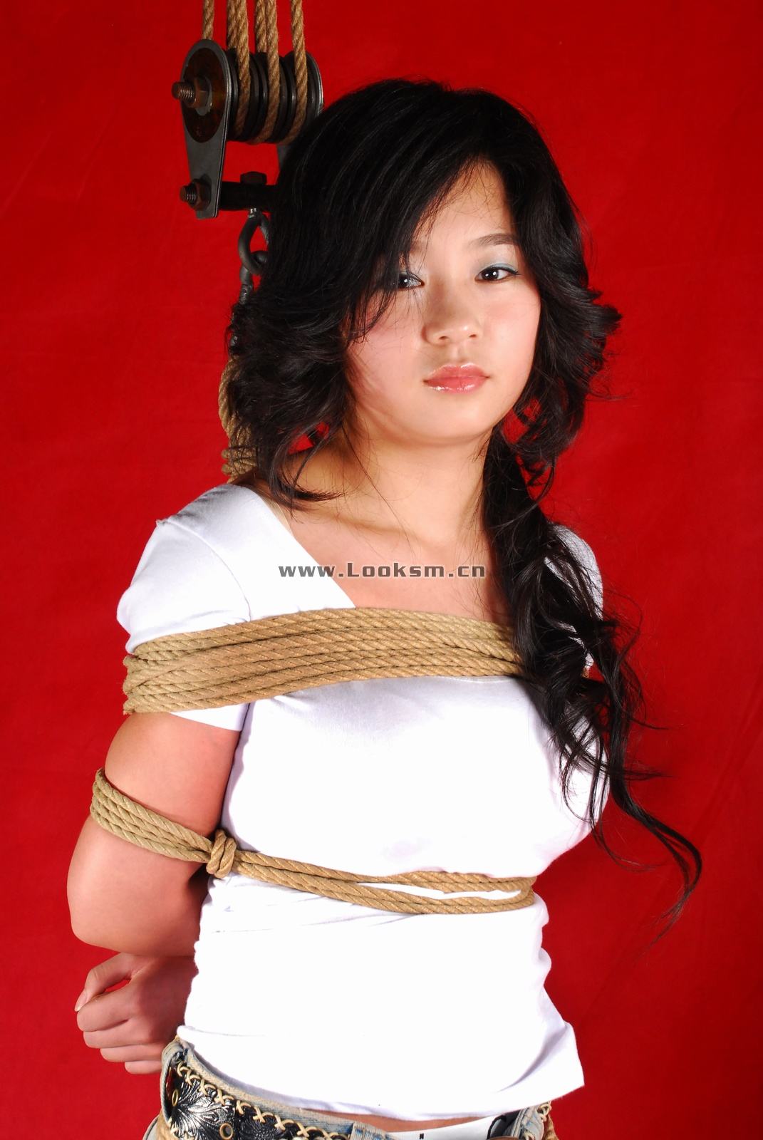Chinese Rope Model 341