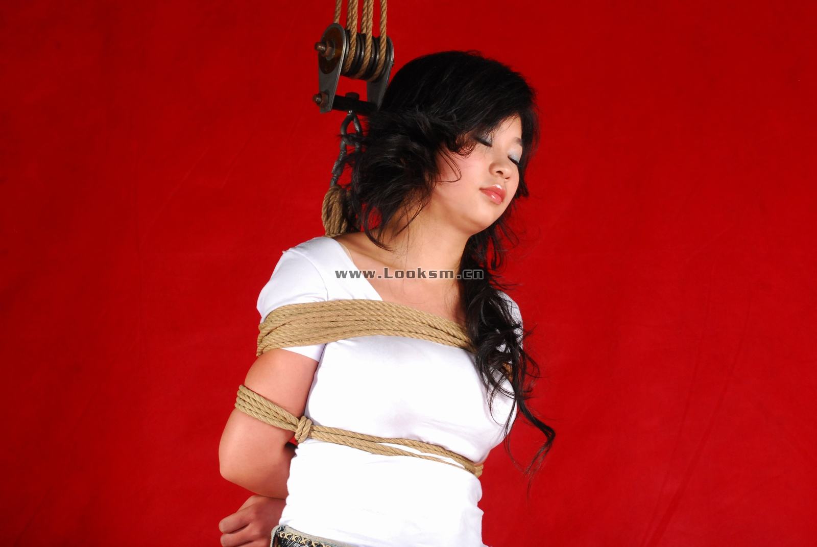 Chinese Rope Model 341