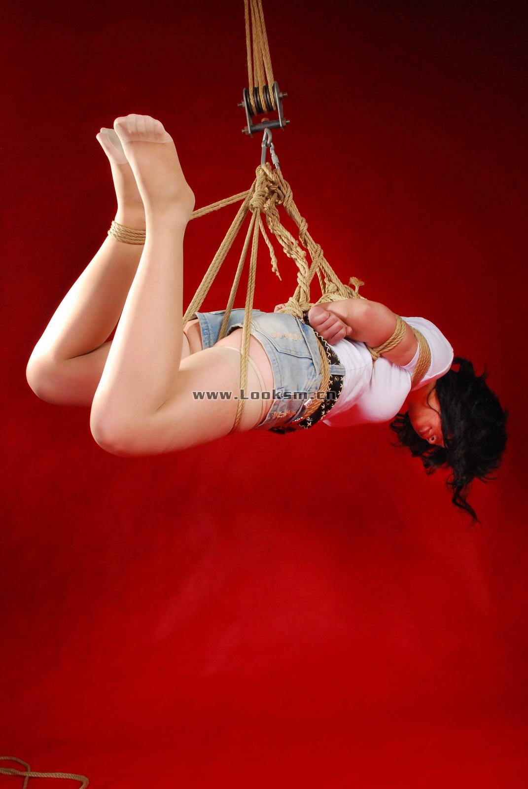 Chinese Rope Model 341