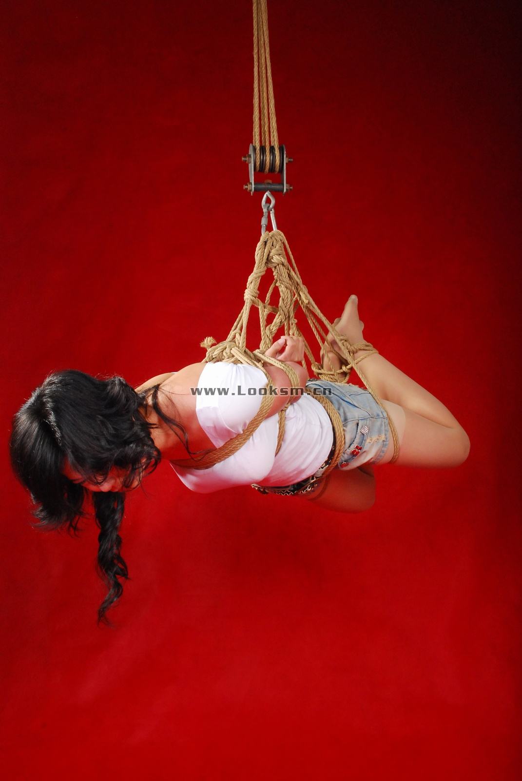 Chinese Rope Model 341