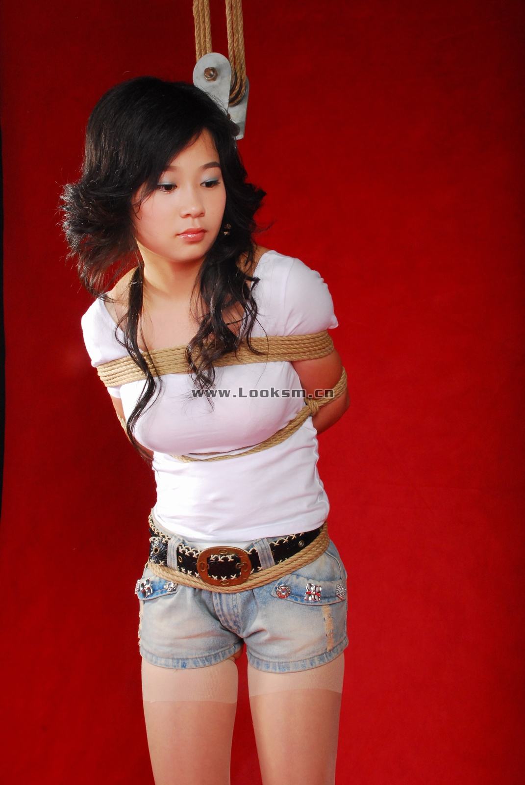 Chinese Rope Model 341