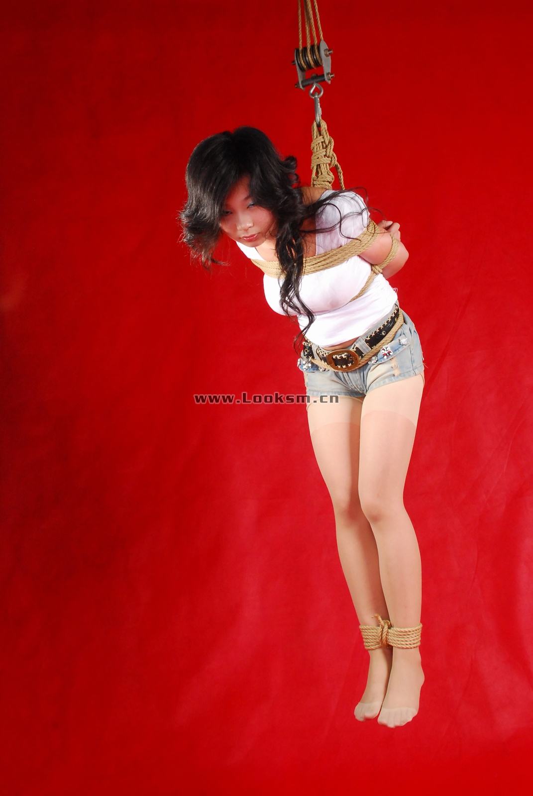 Chinese Rope Model 341