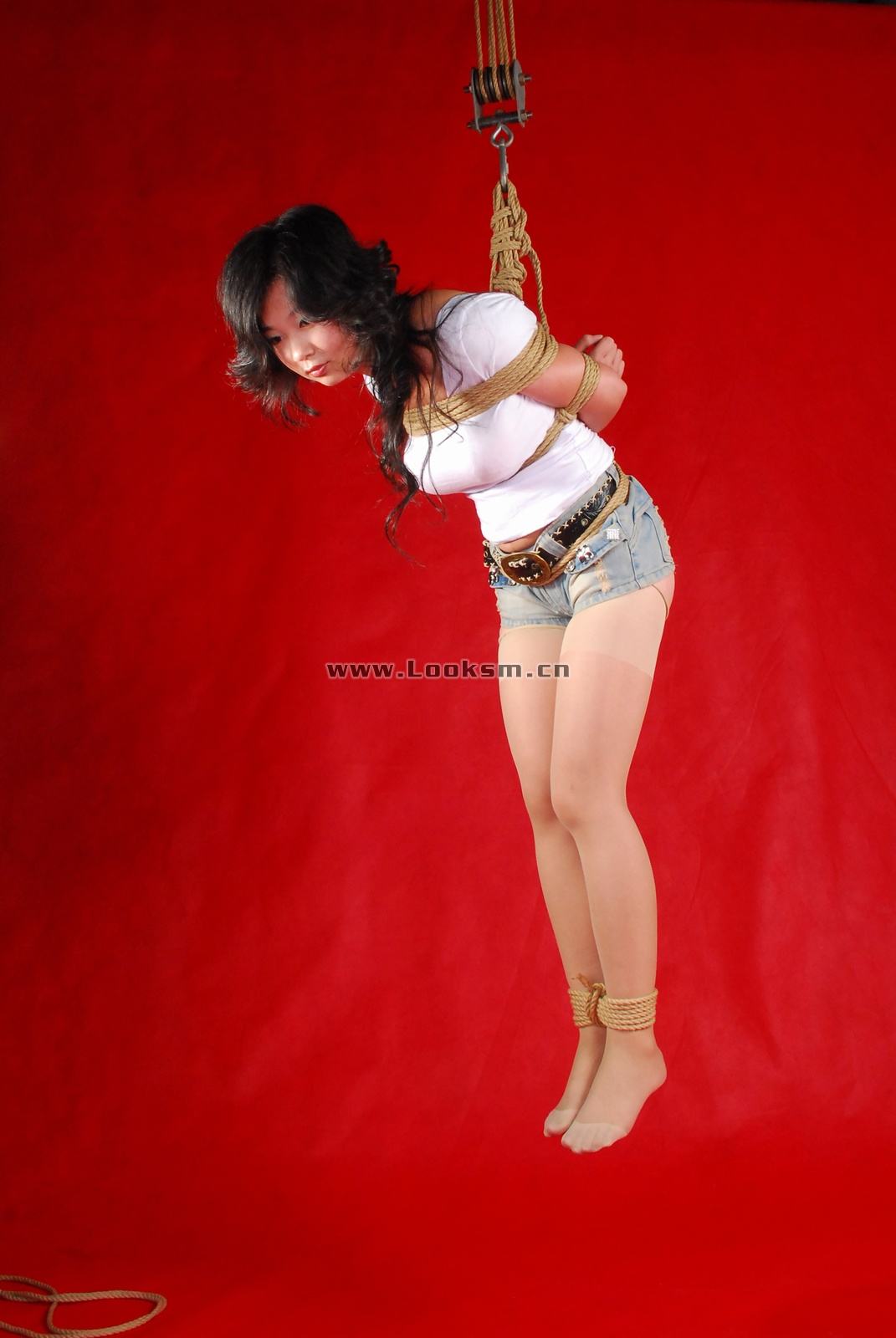 Chinese Rope Model 341