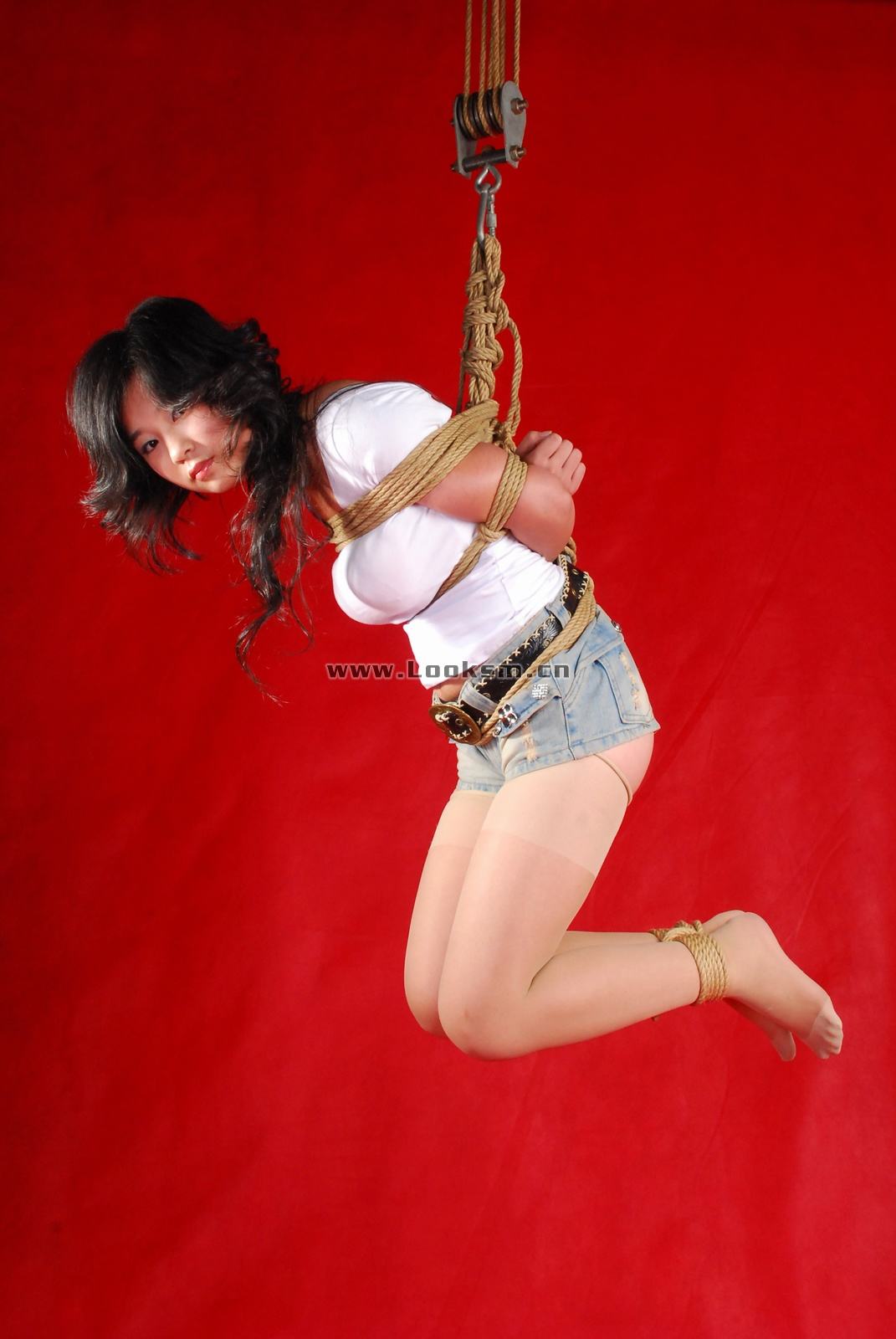 Chinese Rope Model 341