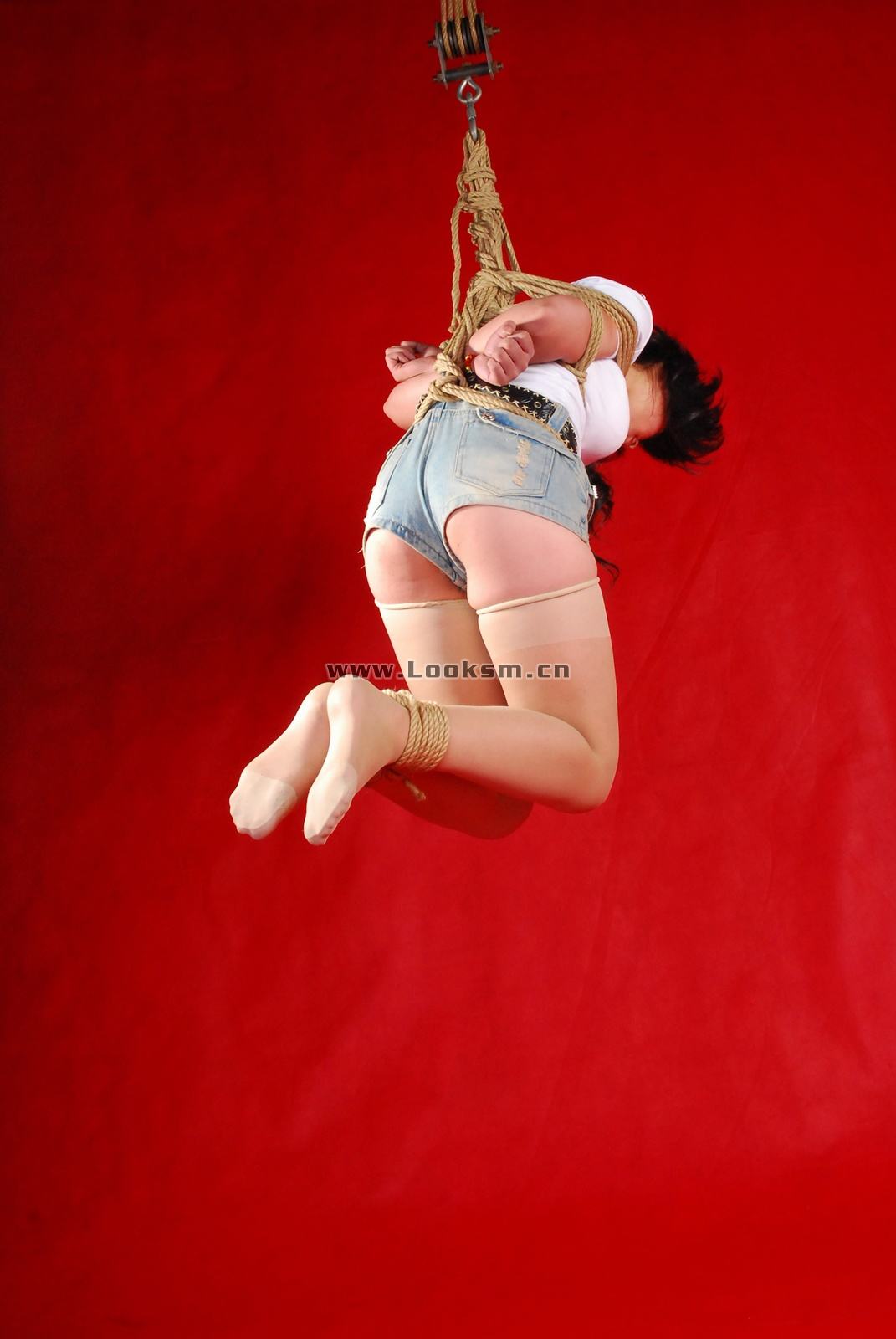 Chinese Rope Model 341