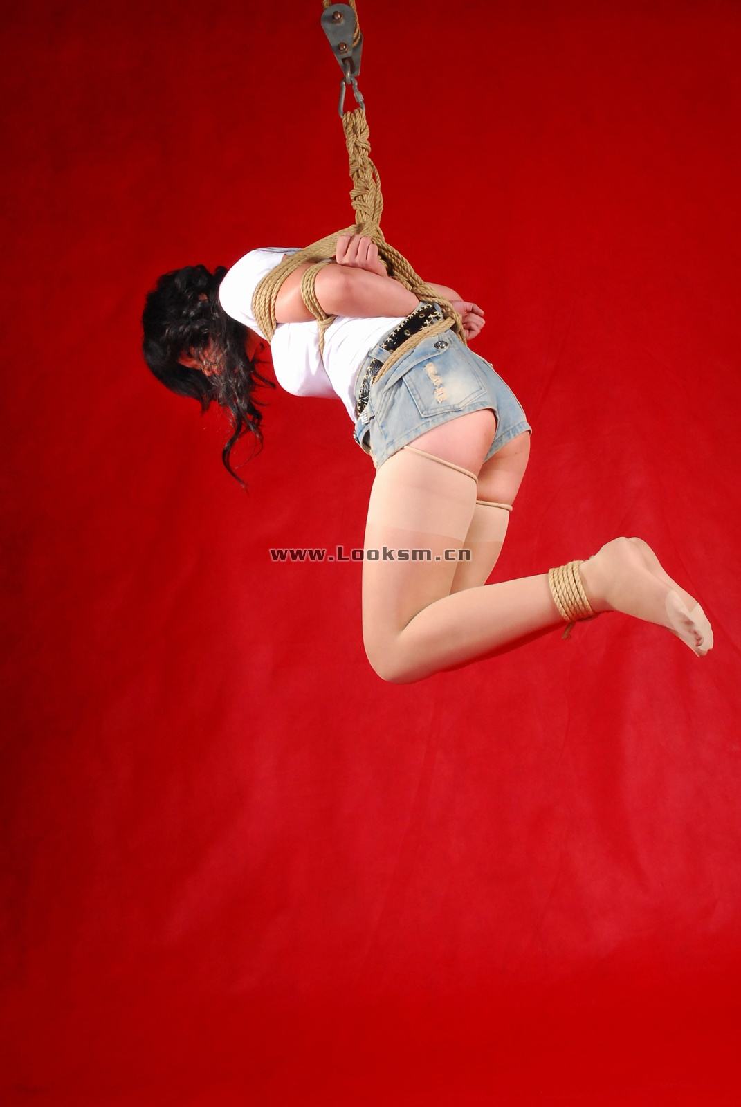 Chinese Rope Model 341