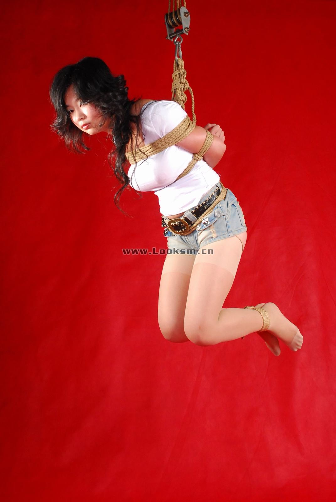 Chinese Rope Model 341