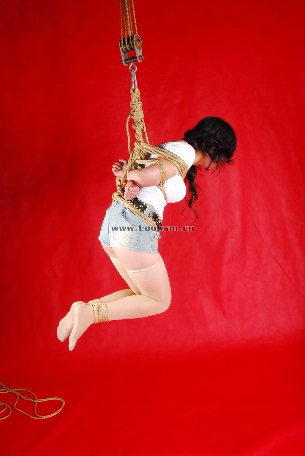 Chinese Rope Model 341