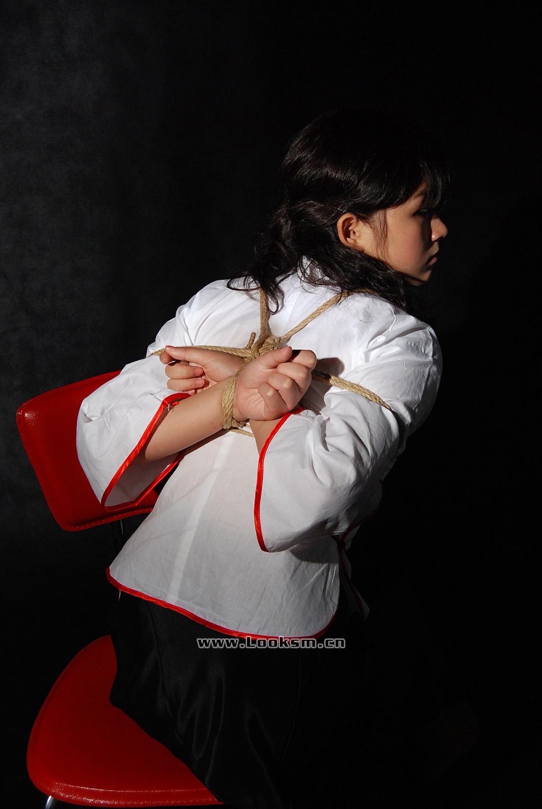 Chinese Rope Model 372