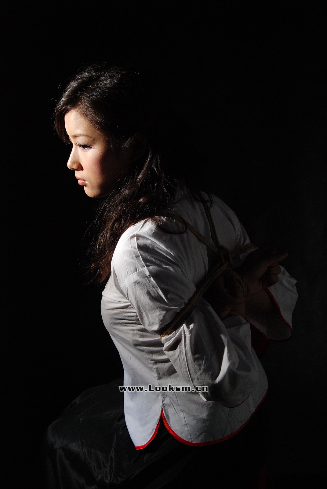 Chinese Rope Model 372