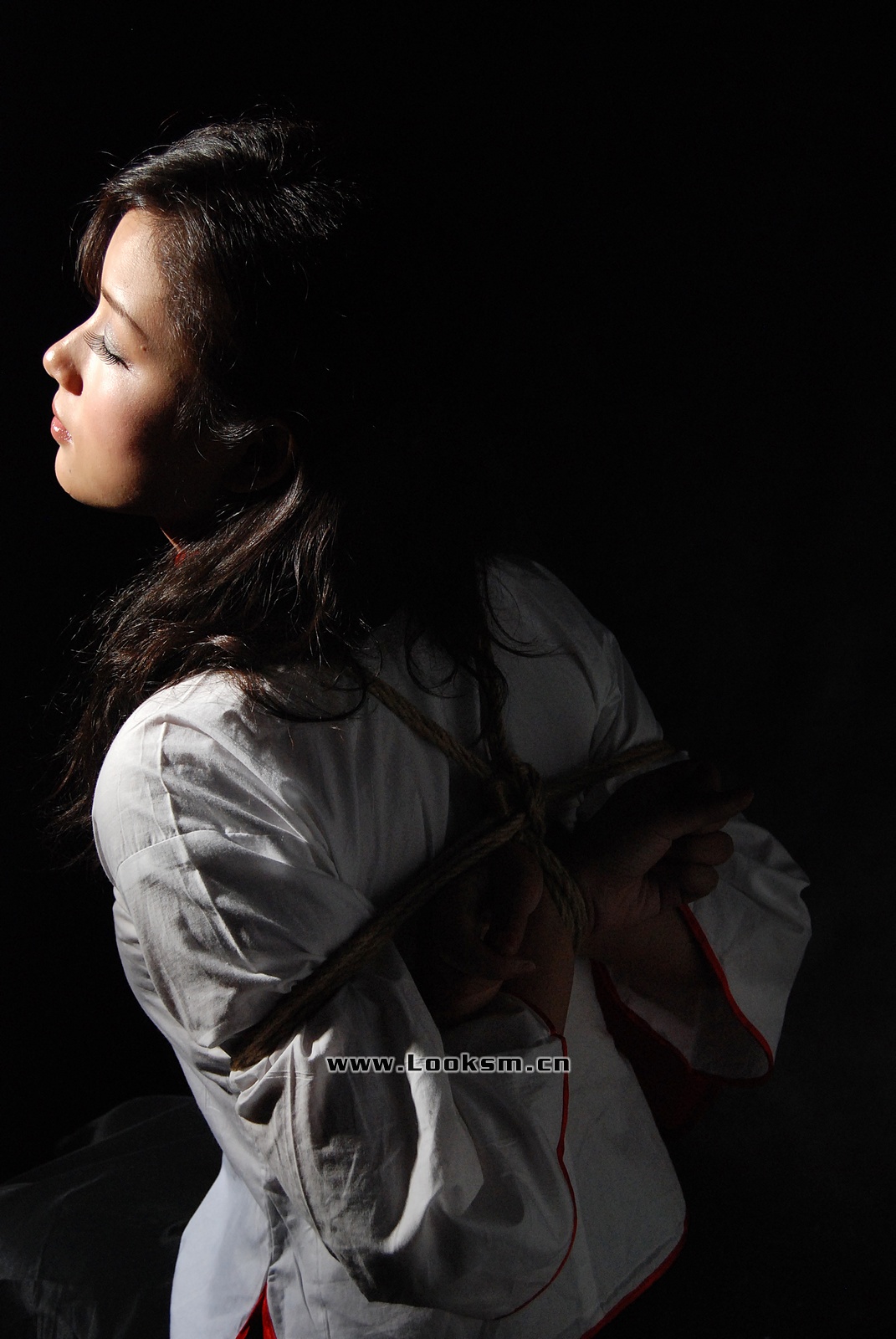 Chinese Rope Model 372