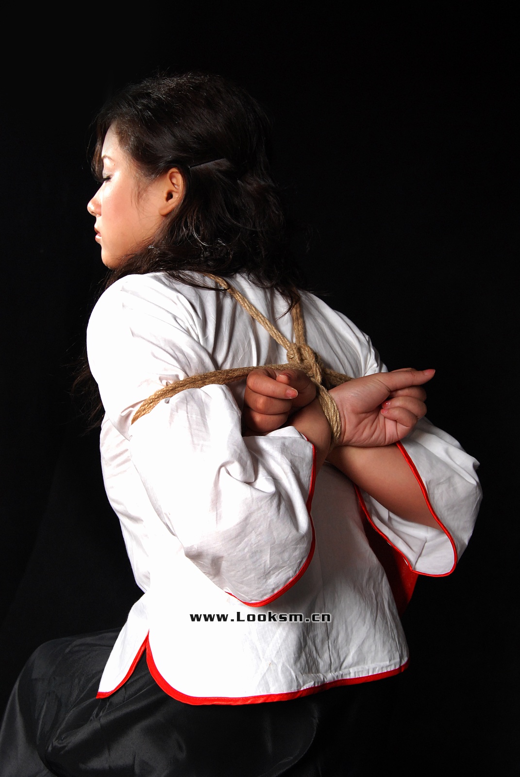 Chinese Rope Model 372