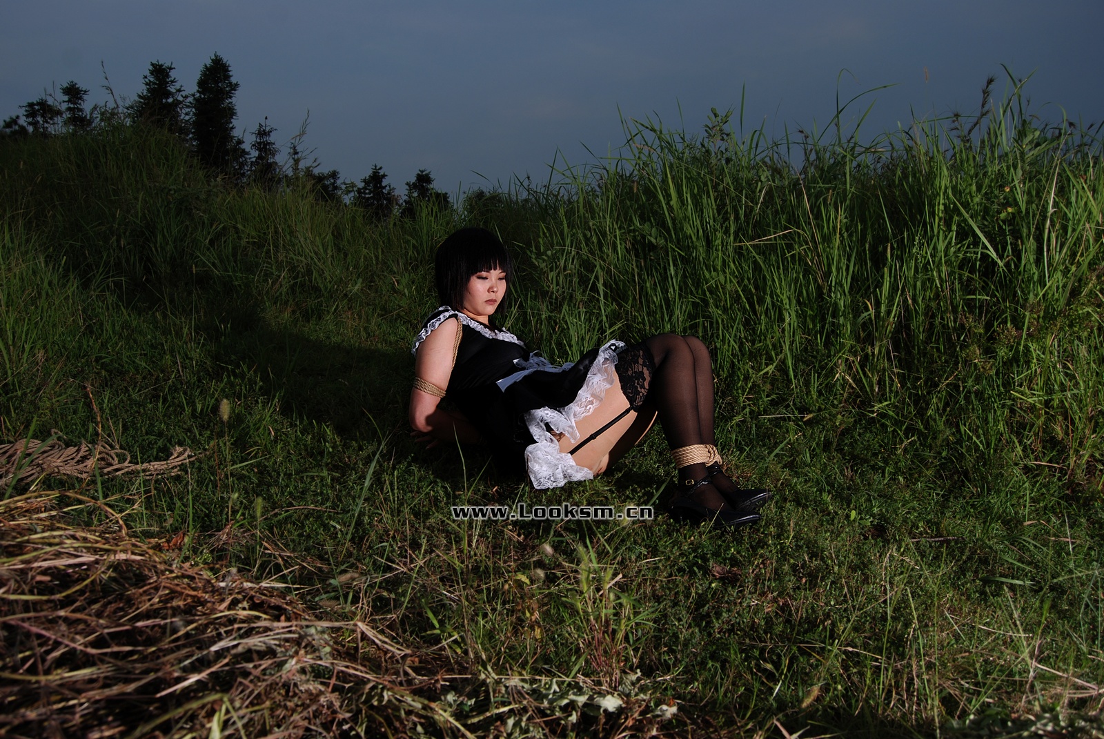 Chinese Rope Model 379