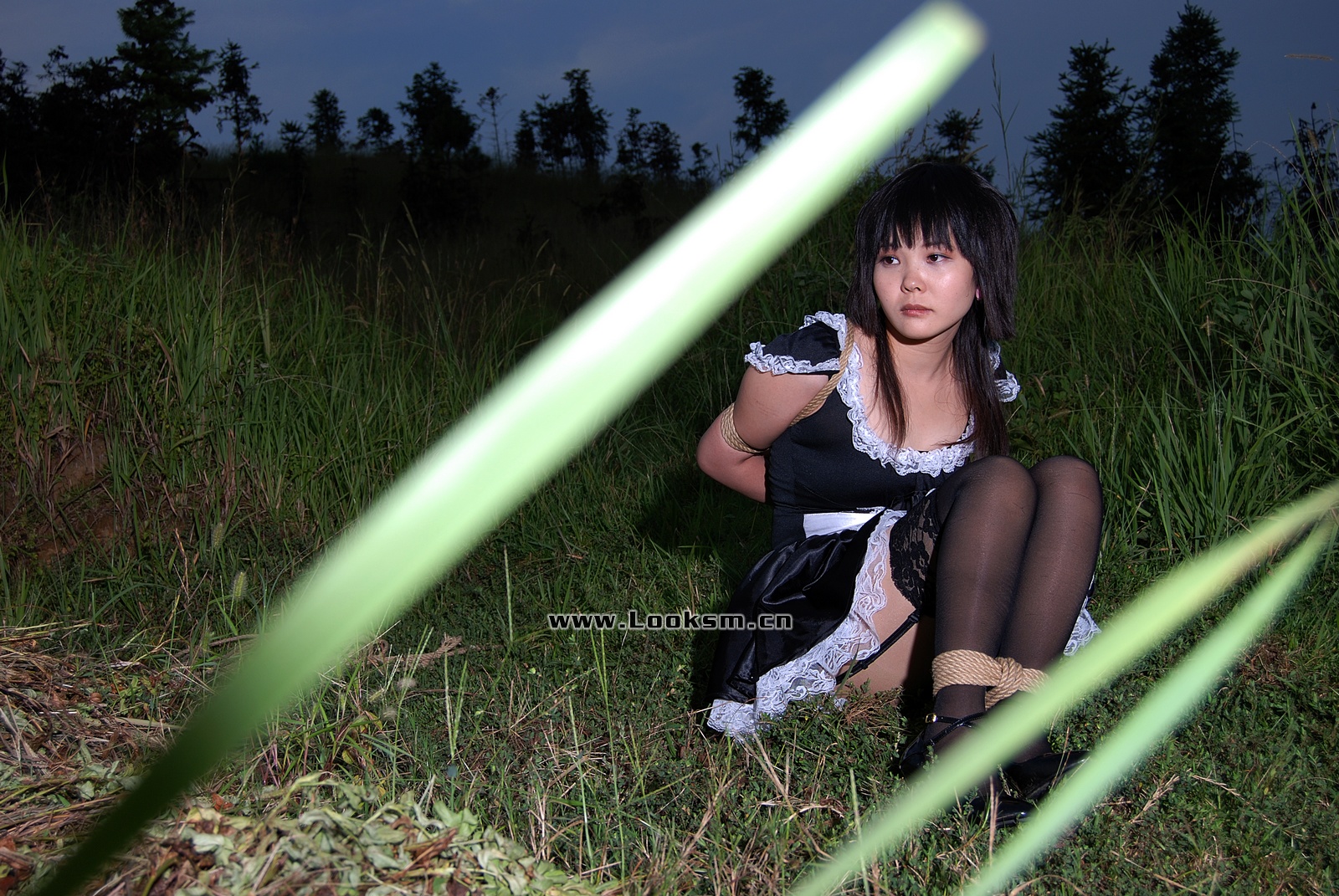 Chinese Rope Model 379