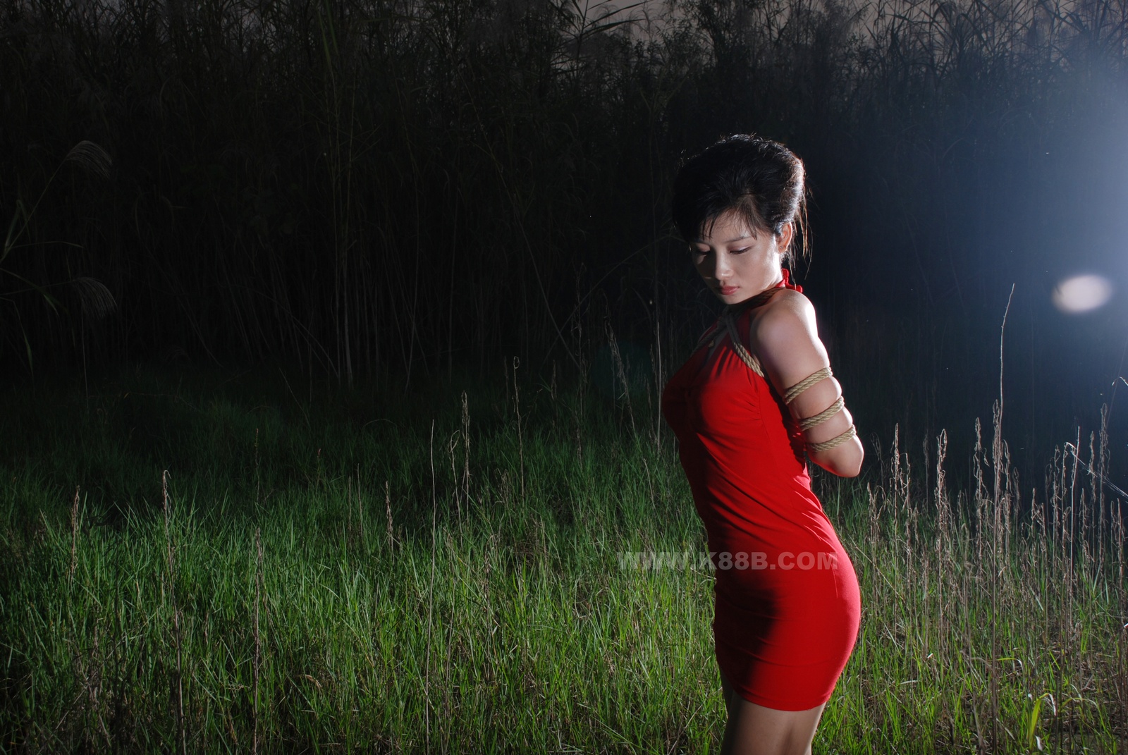 Chinese Rope Model 399-3