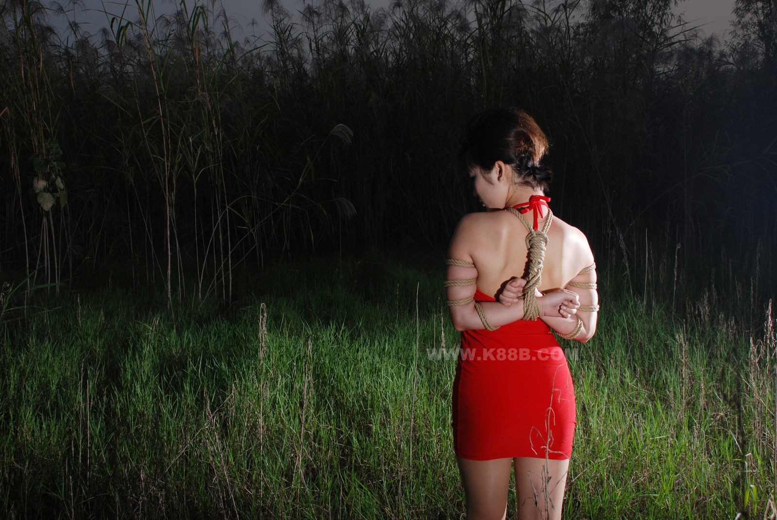 Chinese Rope Model 399-3