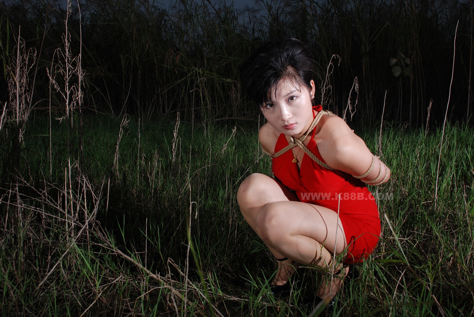 Chinese Rope Model 399-3