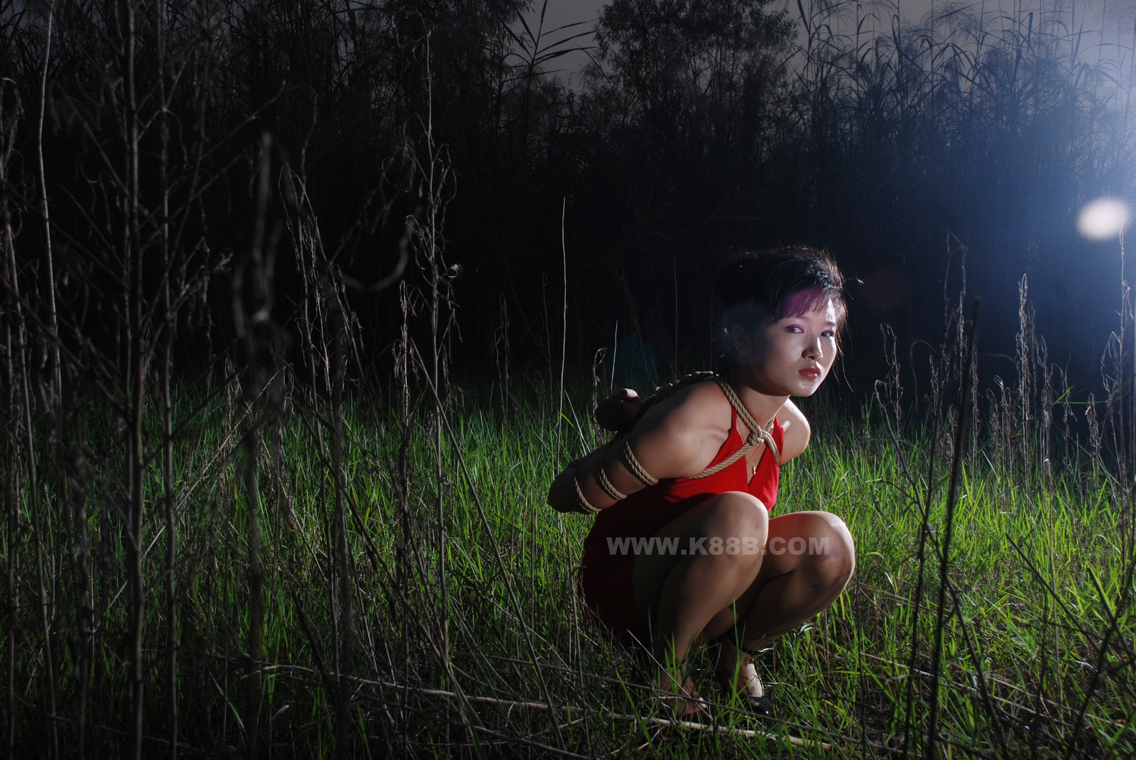 Chinese Rope Model 399-3