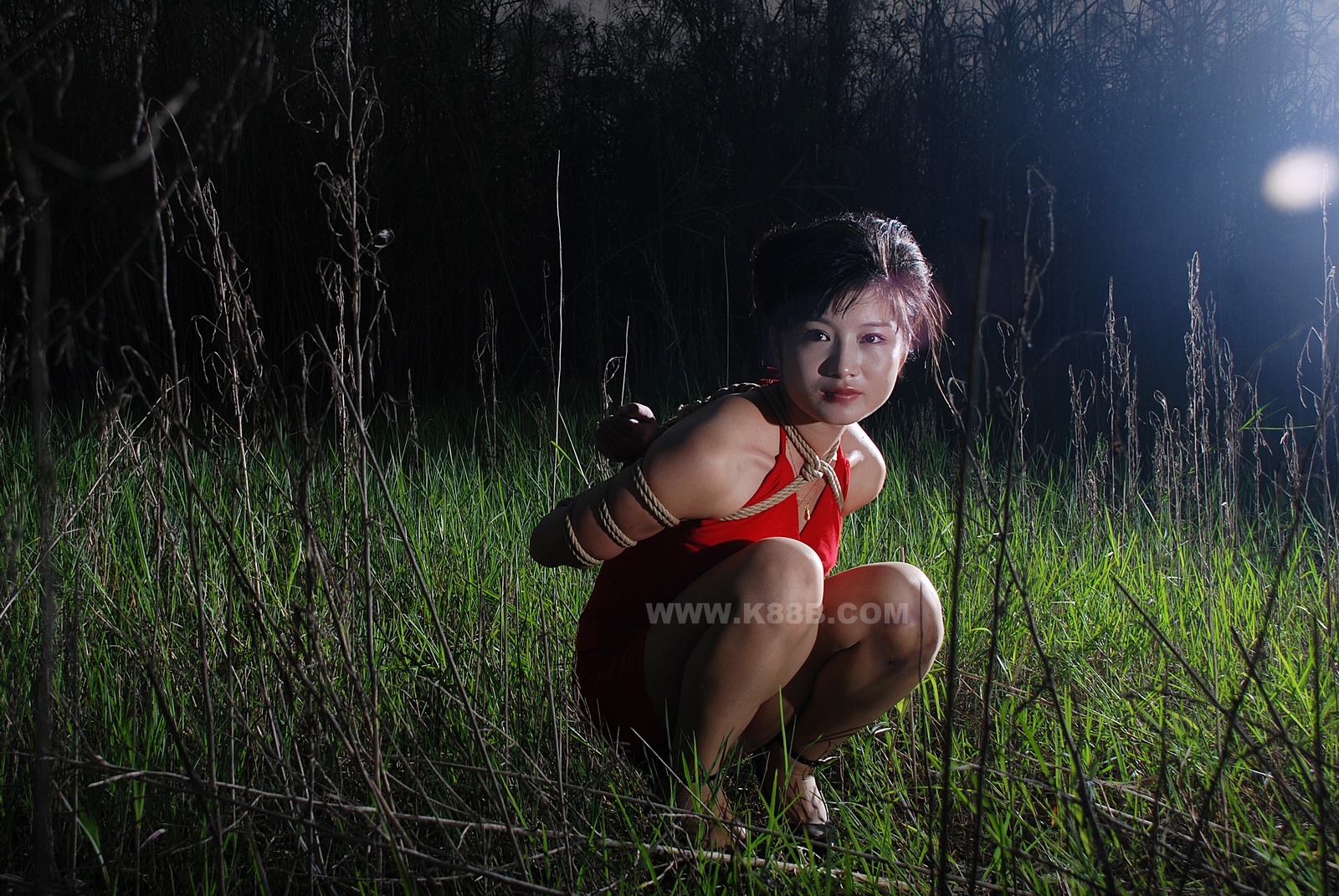 Chinese Rope Model 399-3