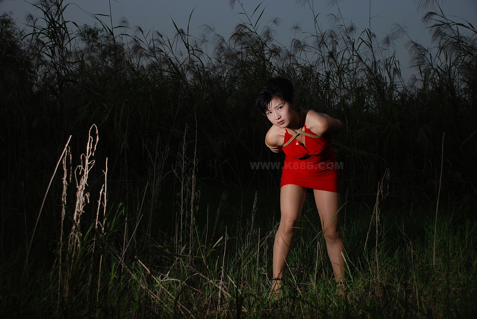 Chinese Rope Model 399-3