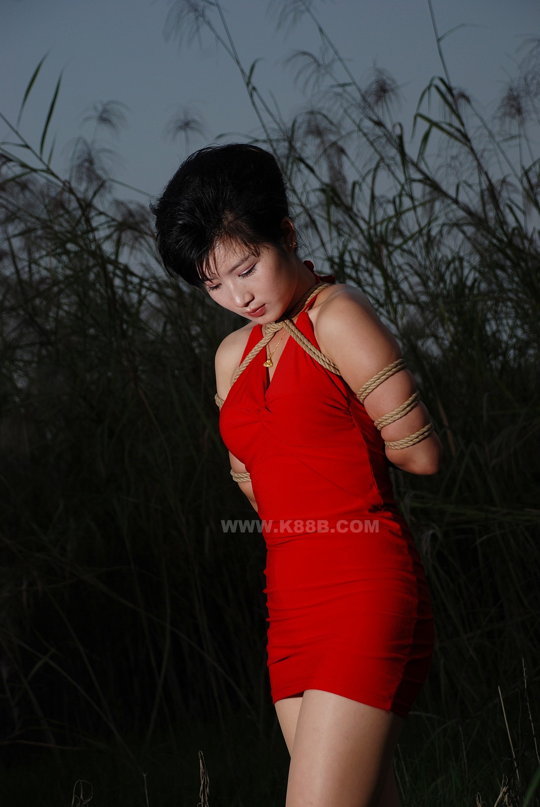 Chinese Rope Model 399-3