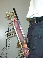 cock and ball torture