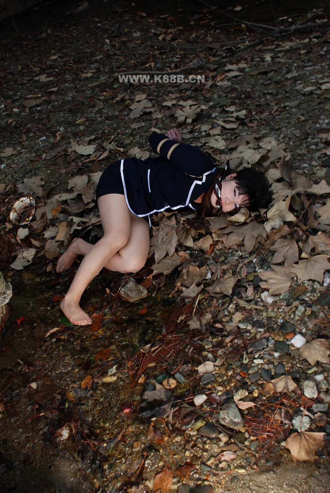 Chinese Rope Model 419