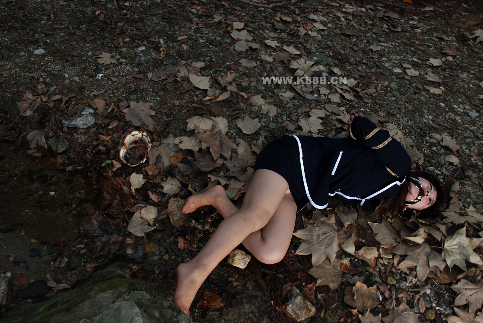 Chinese Rope Model 419