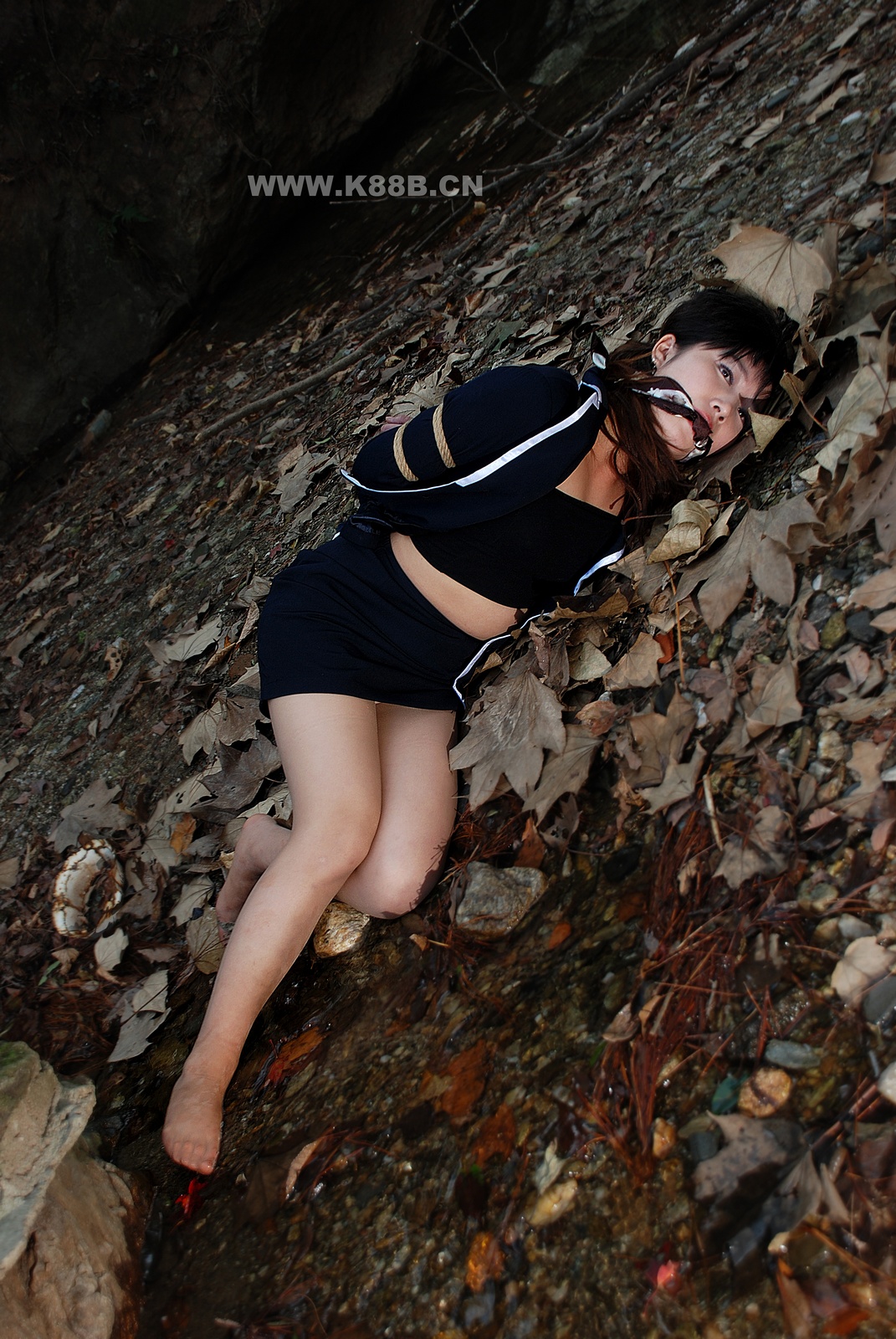 Chinese Rope Model 419