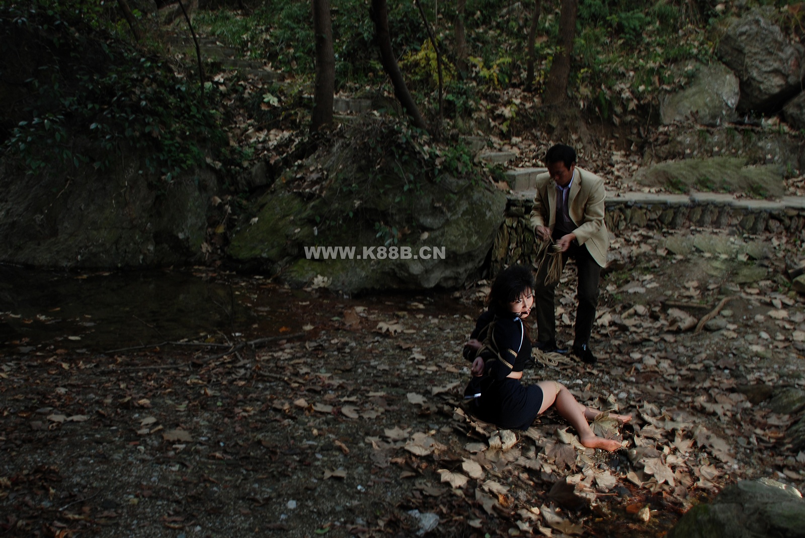 Chinese Rope Model 419