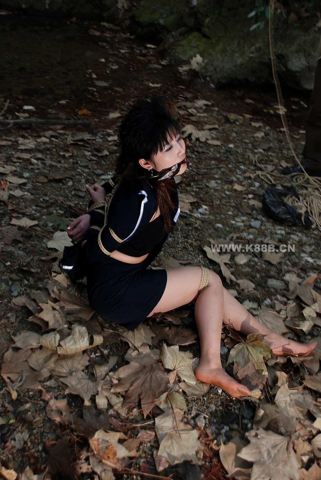 Chinese Rope Model 419